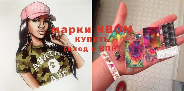 PSILOCYBIN Рославль