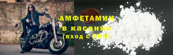 PSILOCYBIN Рославль