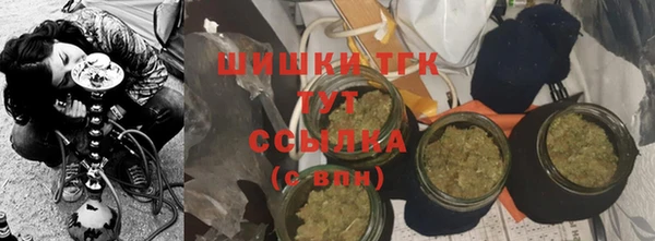 PSILOCYBIN Рославль
